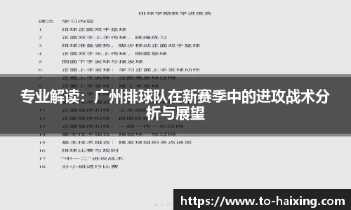 专业解读：广州排球队在新赛季中的进攻战术分析与展望